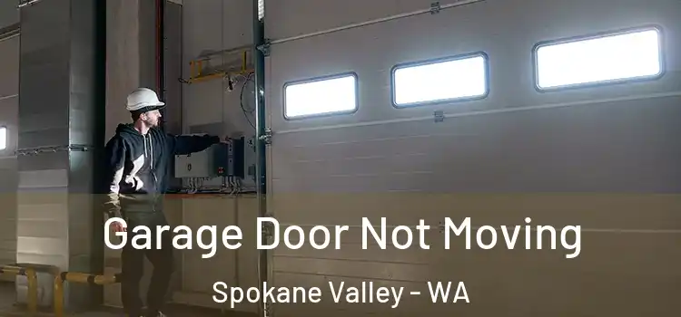  Garage Door Not Moving Spokane Valley - WA