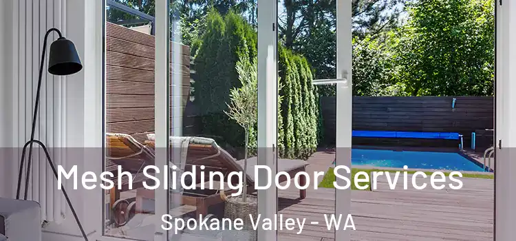 Mesh Sliding Door Services Spokane Valley - WA